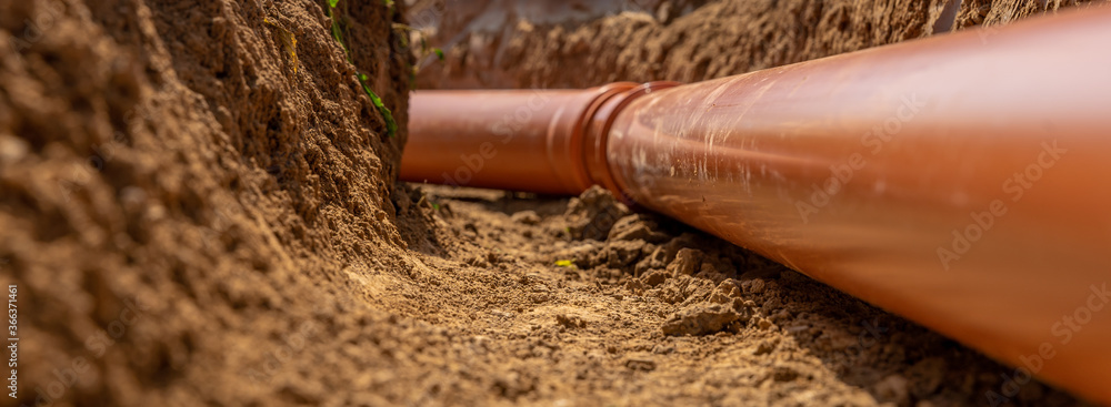 adobestock 366371461 preview